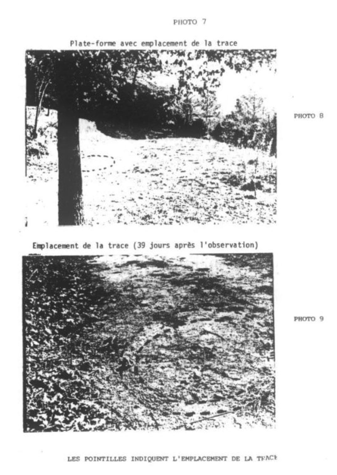 Image from GEIPAN report on Trans-en-Provence UFO case - Landing Site (2)