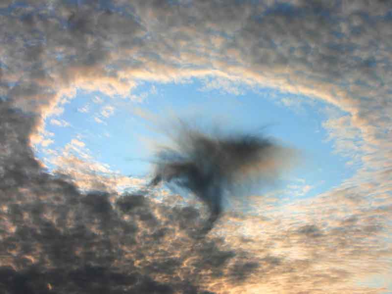 Close-up of a hole punch cloud