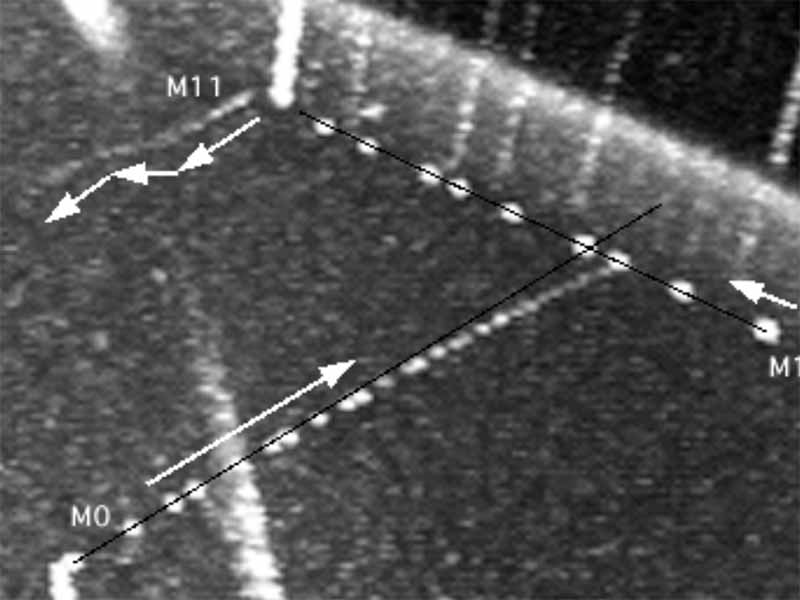 Figure 5 image from Lan Fleming paper STS-48 objects.