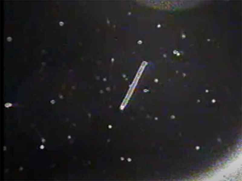 NASA STS-75 Tether UFO Sightings